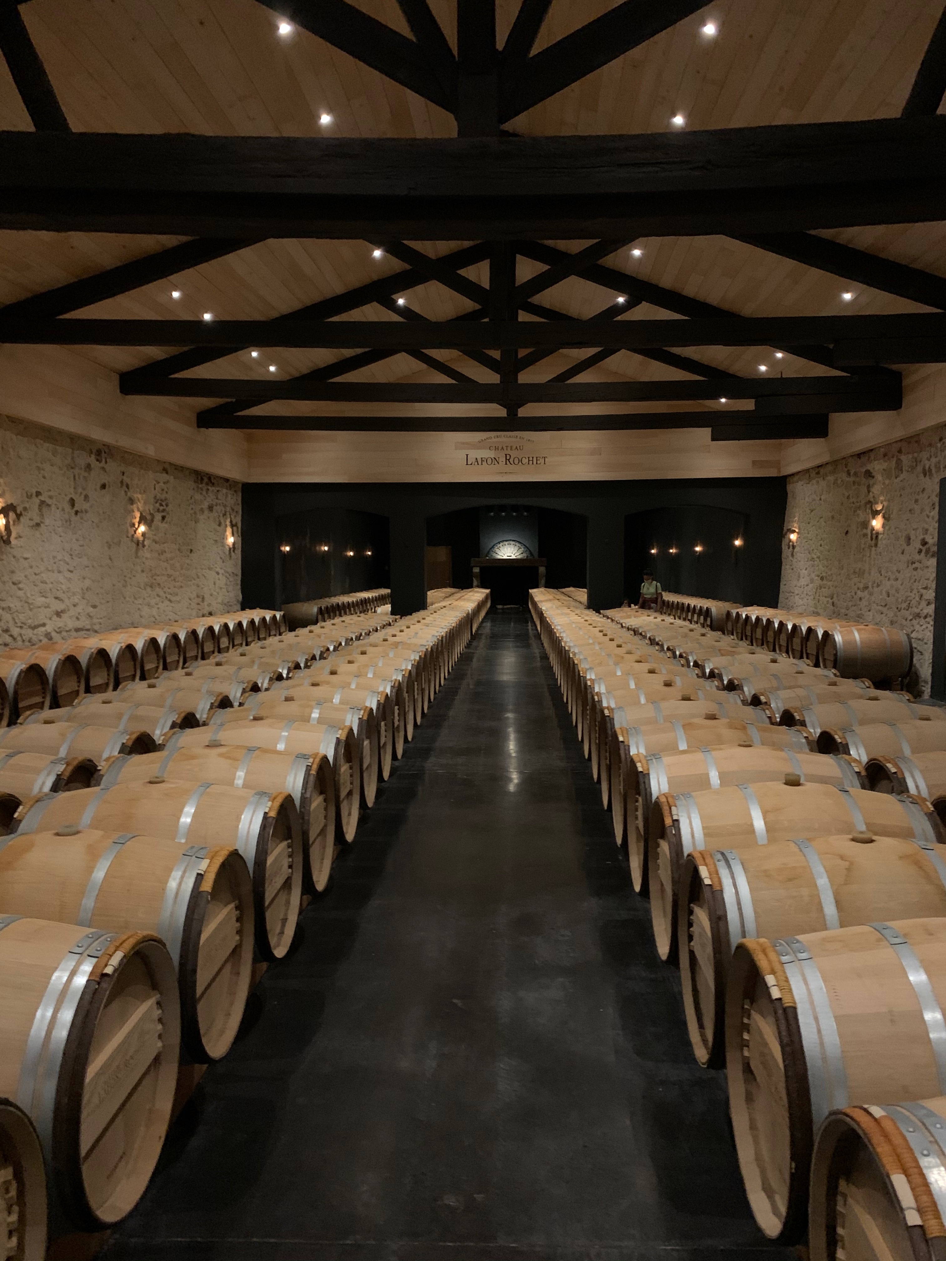 Cave à vin viticulture